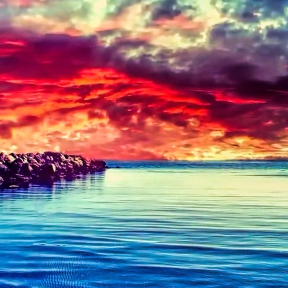 Meet your Posher, Natalie - Picture 1 of 1